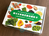 模拟卡（膳食调查常用）