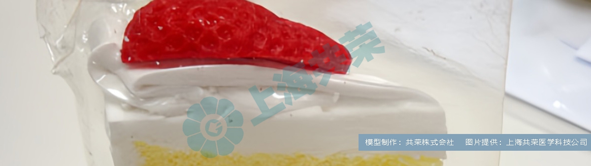 美圖設(shè)計(jì)室_無(wú)損改尺寸_2025_08_01（11）.jpeg-1.jpg