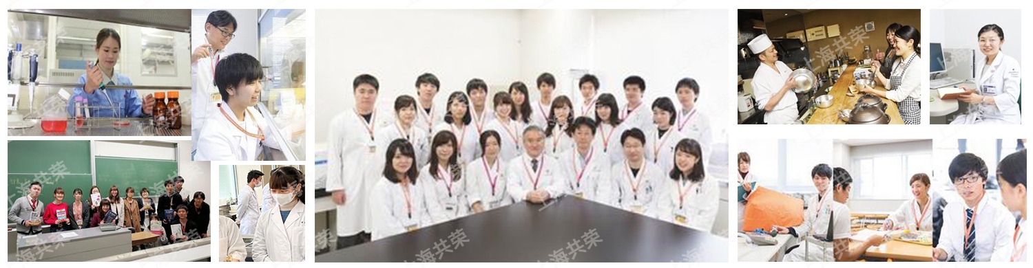 實(shí)訓(xùn)方案顯示圖PS_1738429105027.jpg