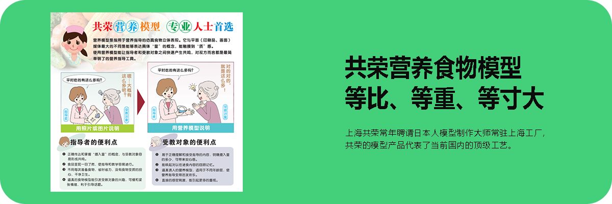 食物模型说明2.png