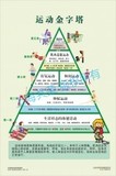 运动金字塔